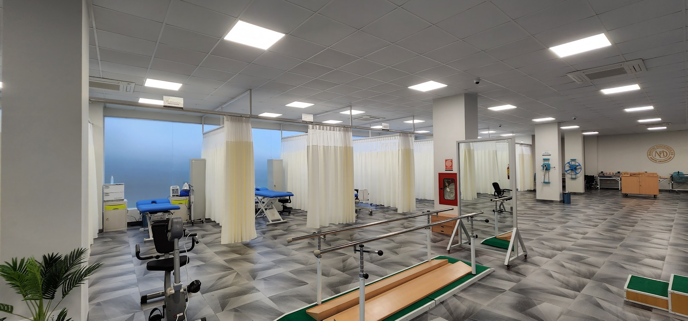 Fisioterapia y Rehabilitación